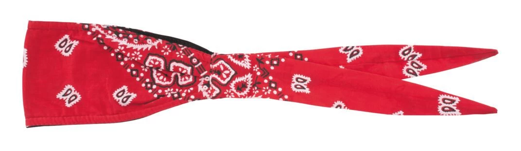 Schampa Technical Wear Riding Gear Schampa Paisley Old School Bandana 5 Schampa Technical Wear Riding Gear Schampa Paisley Old School Bandana - Image 5