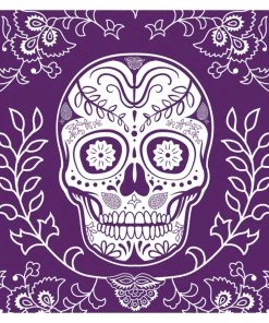 Zan Headgear Women Who Ride ZANheadgear Women's Flydanna -Cheap Clothing Store za nheadgear flydanna headwraps muerte 1